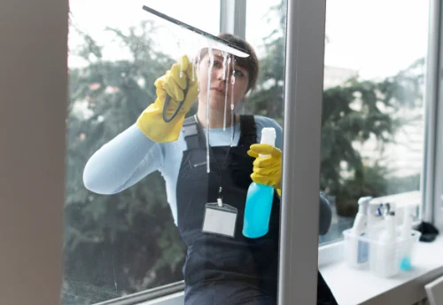 Nettoyage de vitres intérieures et extérieures à Ladon